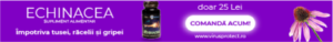 Articol - produs - echinaceea