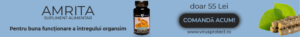 produs articol - amrita
